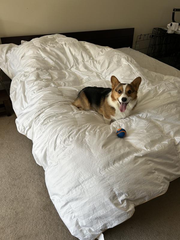 Photo from Editadoes