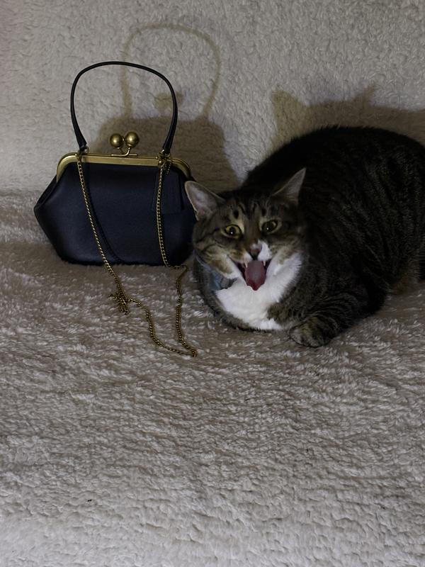In relation to a big cat