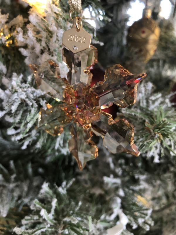Photo from AR
