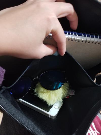 small pocket inside the bag