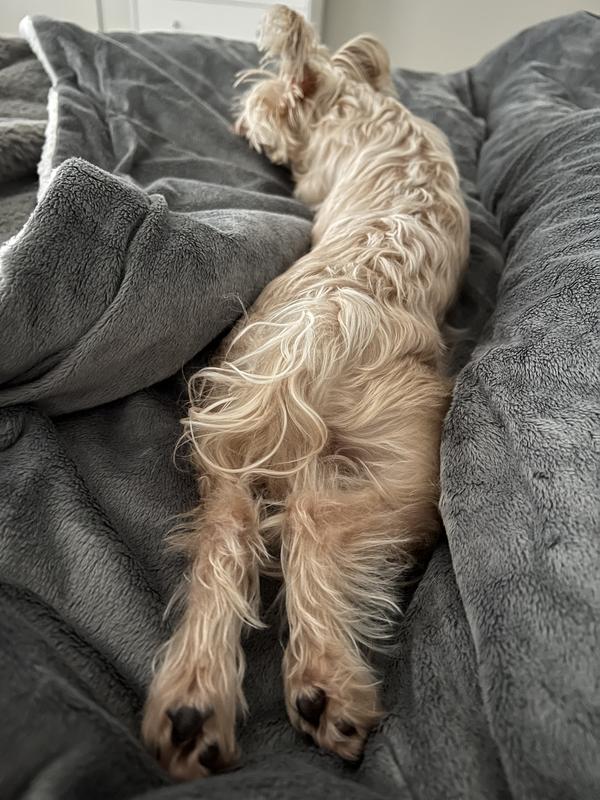 As you can see she hogs it all