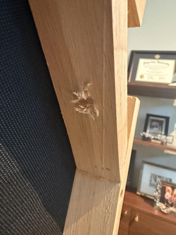 Customer carousel item 5.