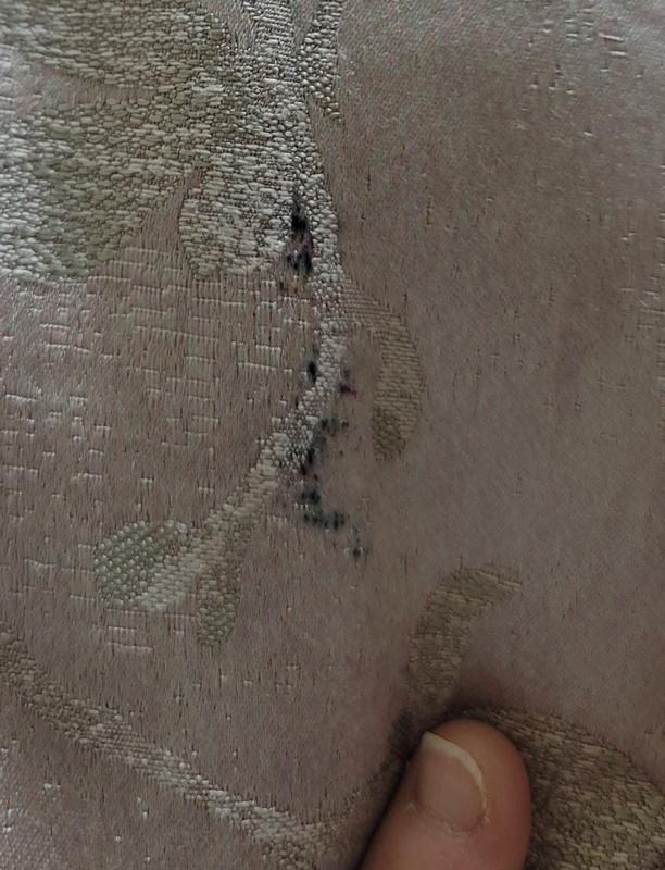 Customer carousel item 2.