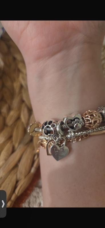 Gorgeous silver paw!