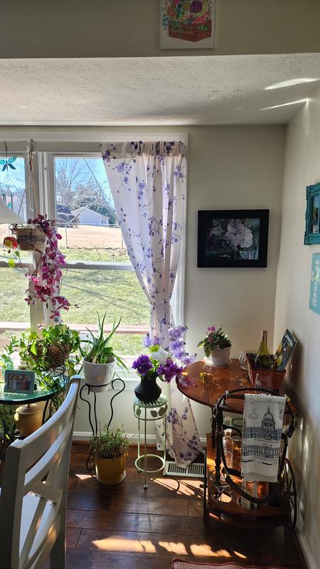 Photo from Cindy I