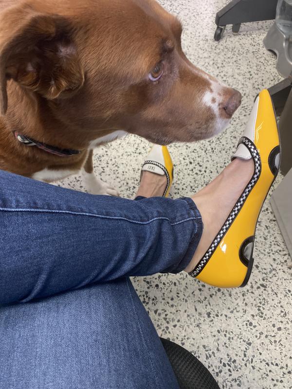 Kate spade taxi cab shoes deals