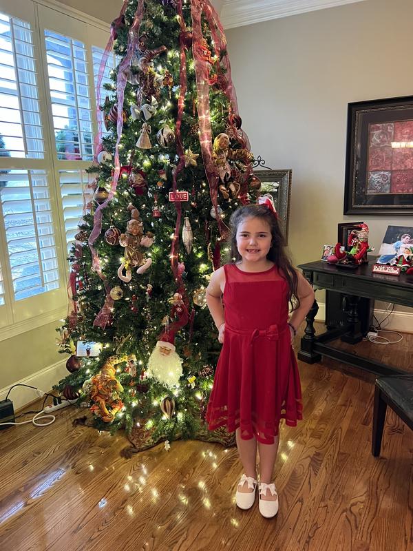 Red holiday dress! All ready for Santa
