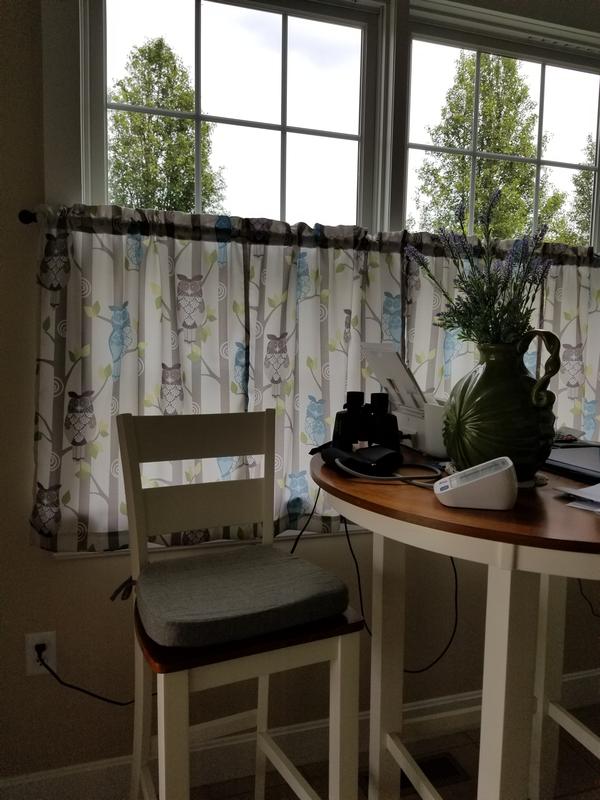 Photo from Freda