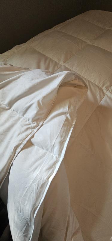 Photo from Long Sleeve Button up