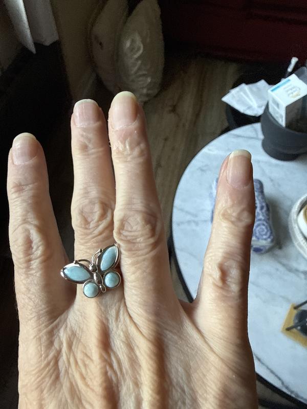 Larimar butterfly
