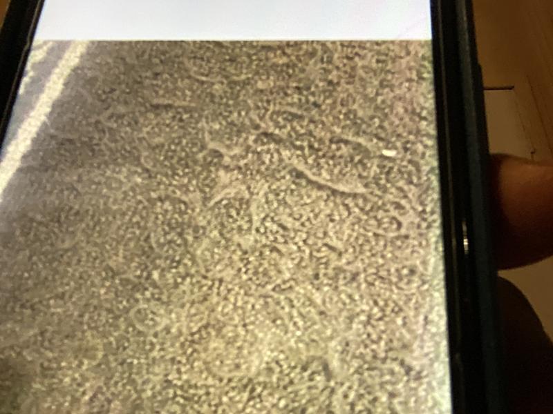 Customer carousel item 2.