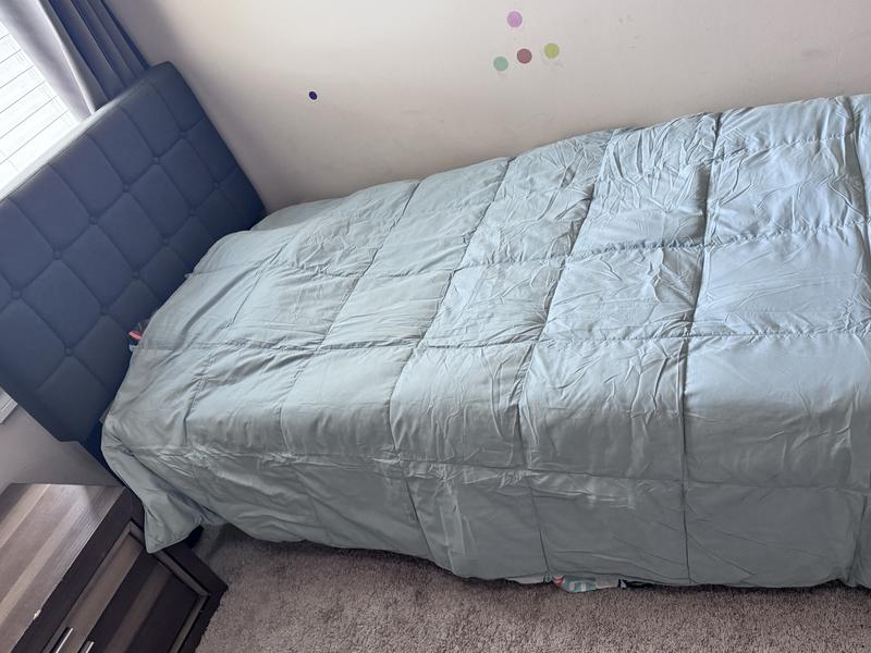 Photo from OlaReviewer