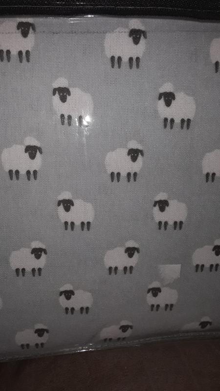 Cute sheep, pretty pale sky blue color