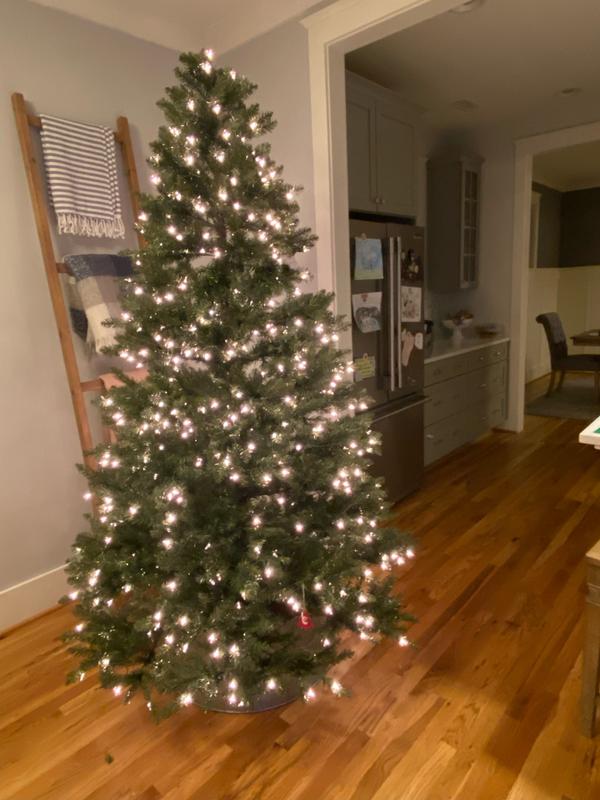 No ornaments necessary, but go ahead, make it more gorgeous !