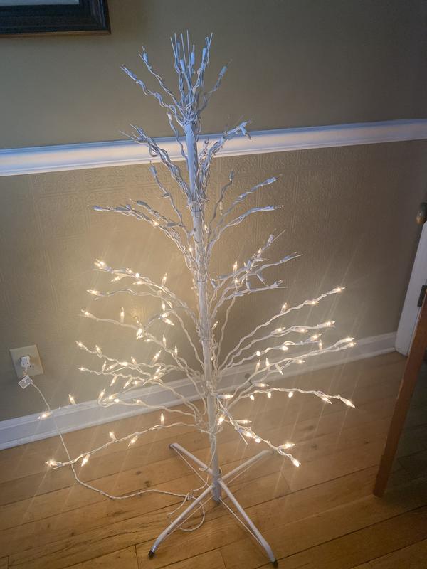 Photo from Santa