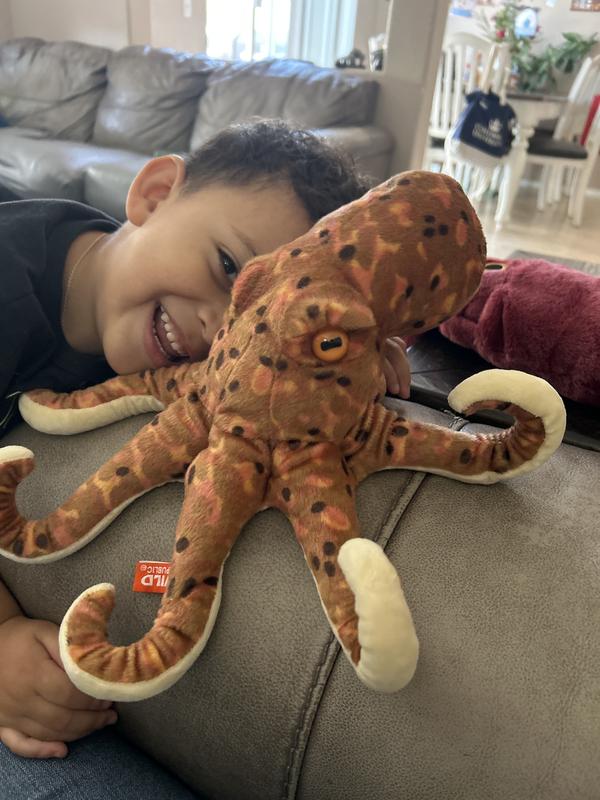 Octopus