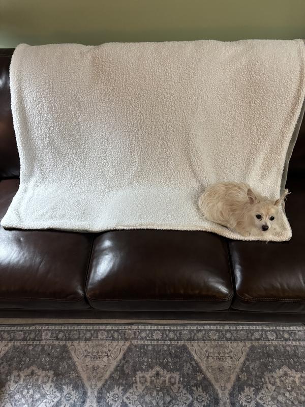 My dog loves it, too!