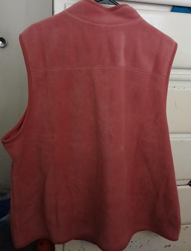 Back of vest