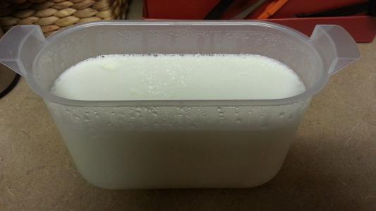 Finished yogurt before breaking