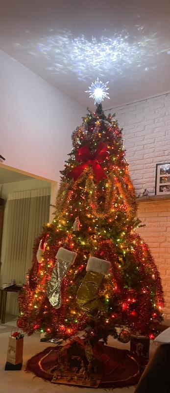 Photo from Darlene