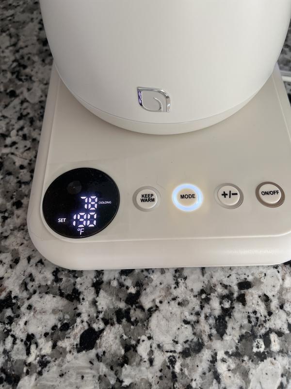 Willow Digital Gooseneck Kettle 