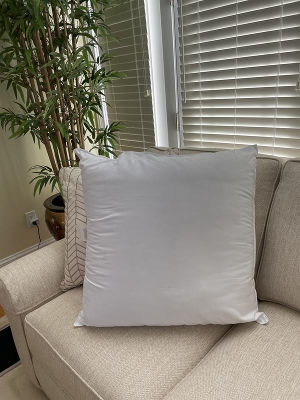 Bigger than my big sofa pillow