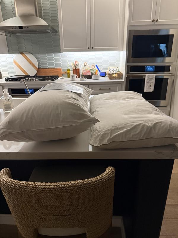 Charter Club vs a popular insta trend!