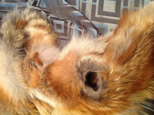 This one of the rips on the arm of the jacket!