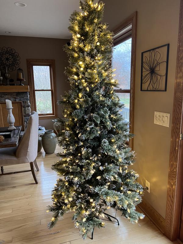 Photo from Sandra Britton