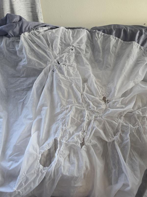 melted in the dryer on medium