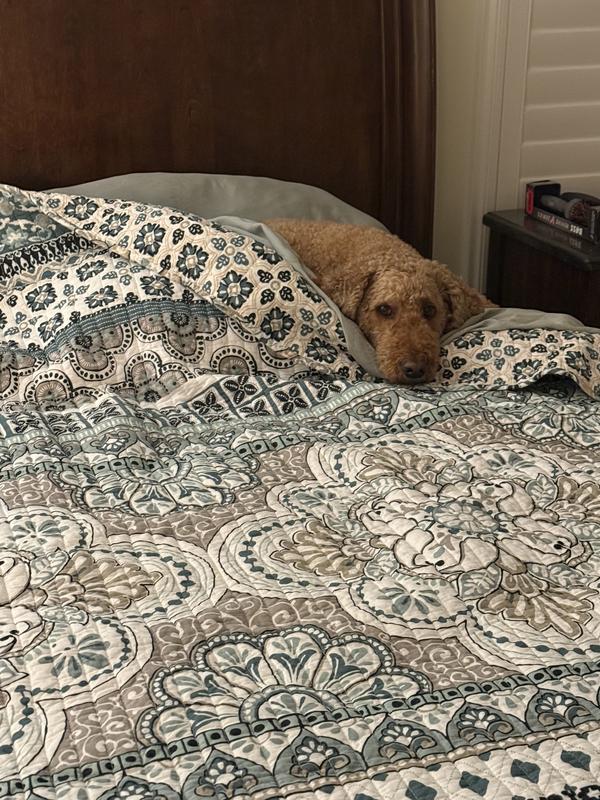 Doodle approved!