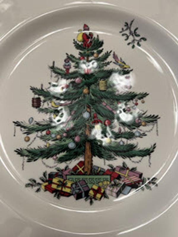 Photo from ConscientiousReviewer