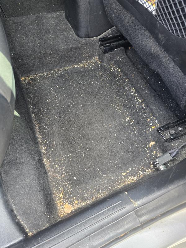 Photo from IndyChick70