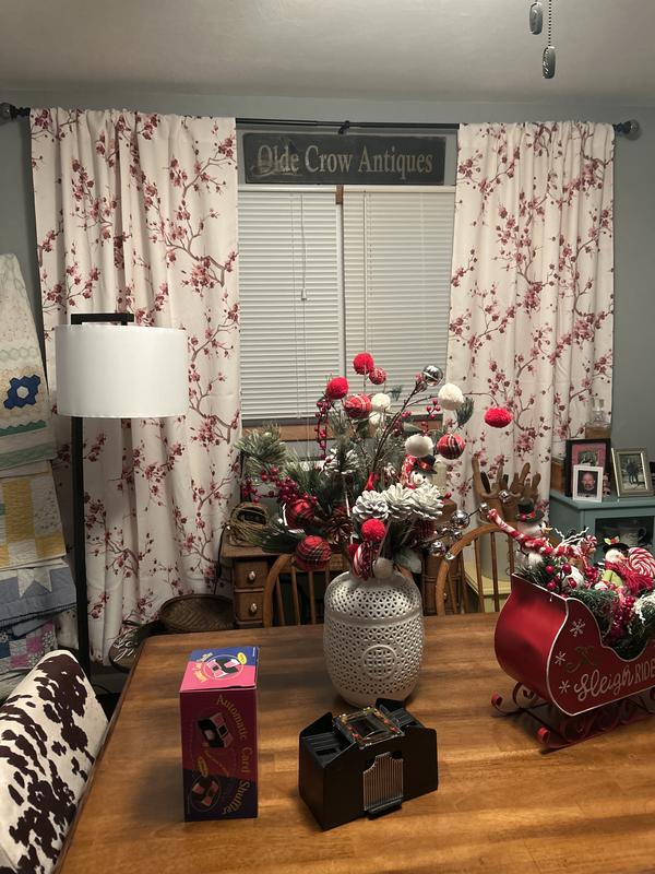 Photo from Cynthia