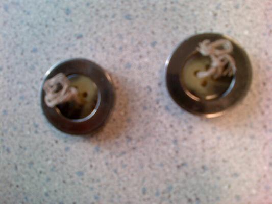 Buttons that fell off the coat