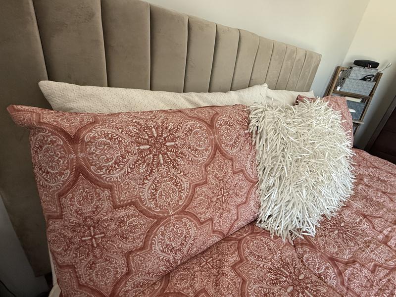 Eye, catching design and colors