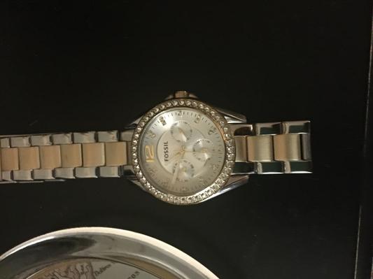 Newest Fossil Purchase