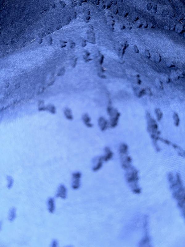Blue duvet