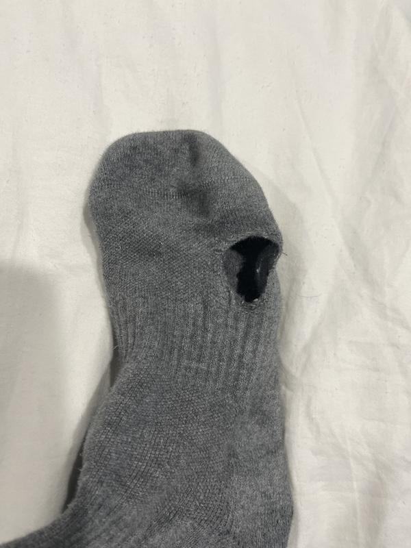 Signature Embroidered Crew Socks, Pack of  Six