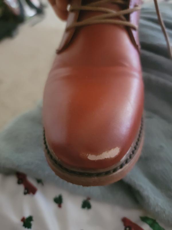 Photo from None
