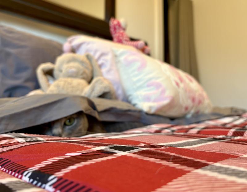 Pluto is really impressed