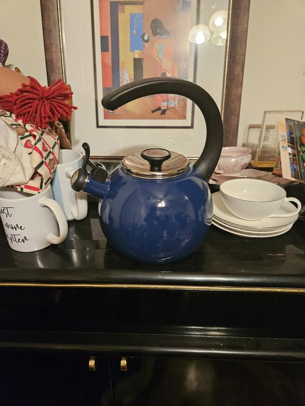 My Blue Circulon Teakettle
