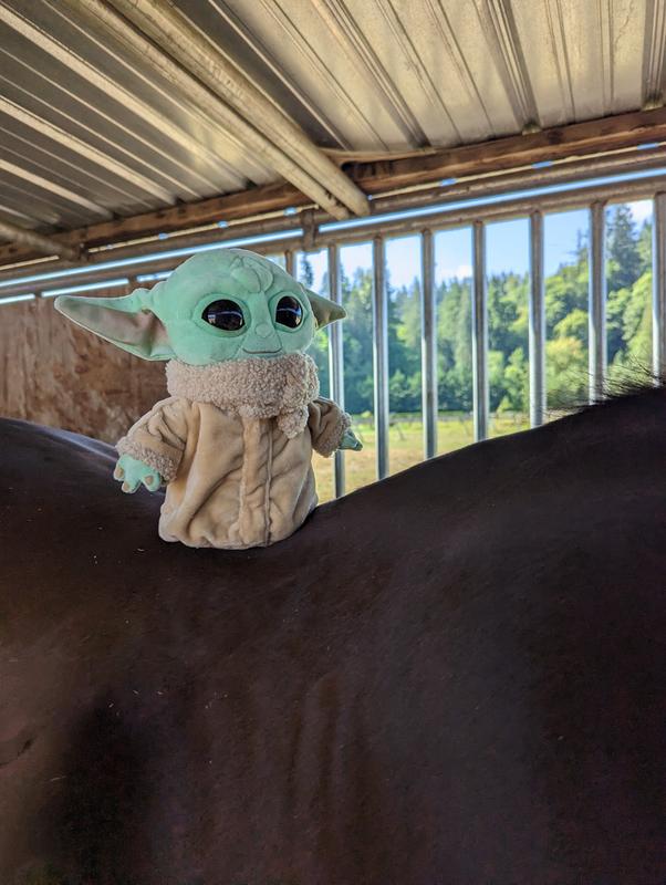Yoda's  Horse
