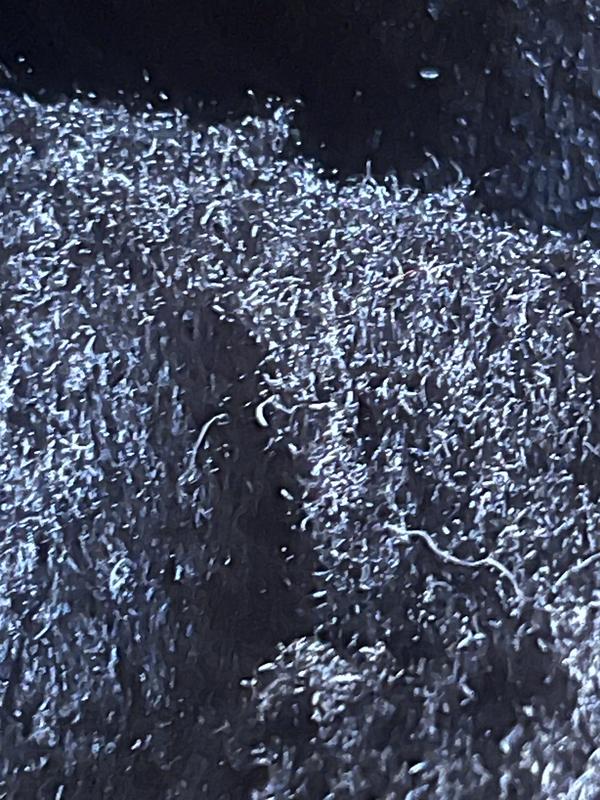 On back of coat at shoulders