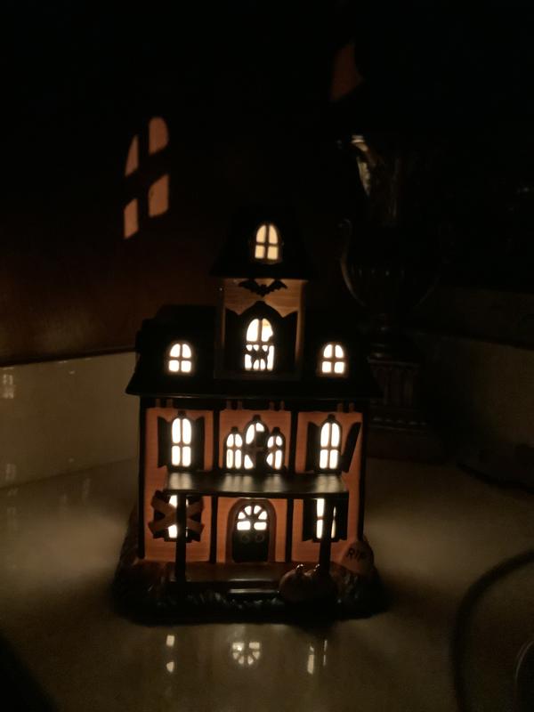 Photo from Sophia