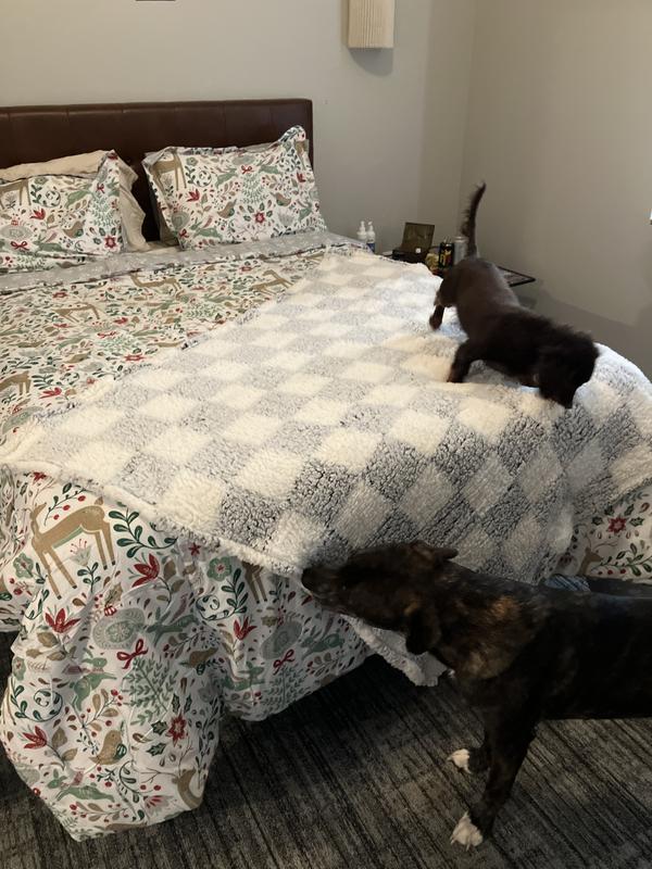 Throw blanket added on top of comforter