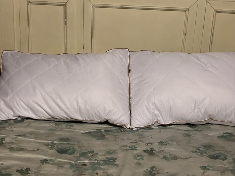 Plush Queen Down Pillows