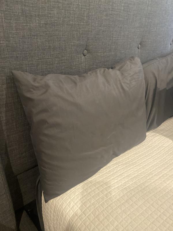 Customer carousel item 7.