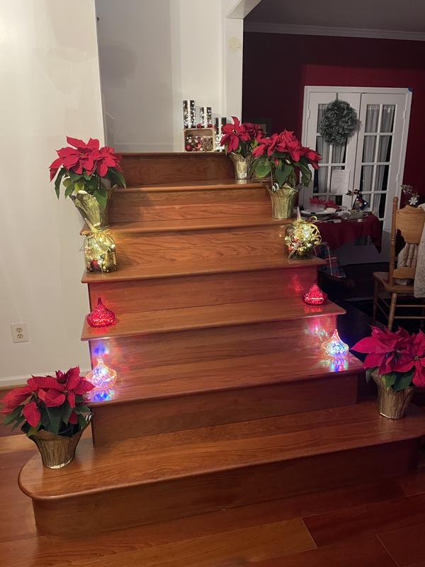 I added lights.