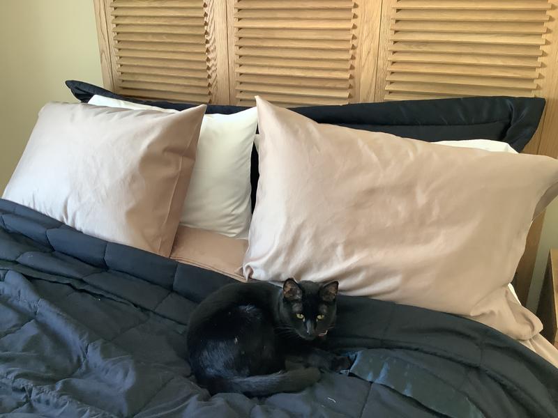 Customer carousel item 1.